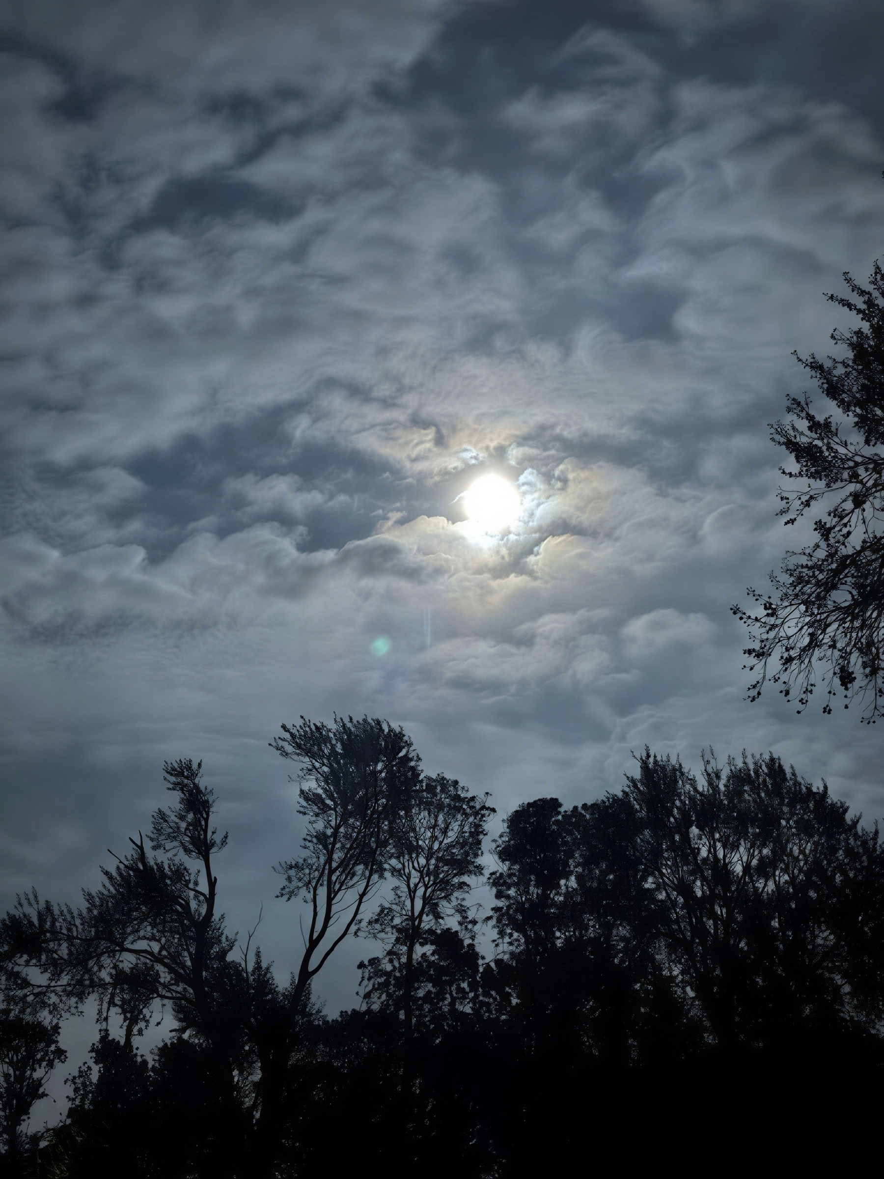 InwardBound Private Psilocybin-Retreat: 4 Tage, 2 Psilocybin-Sitzungen – Niederlande/ Costa Rica