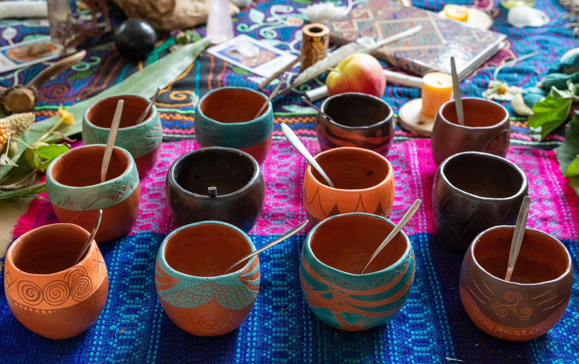 InwardBound Private Psilocybin-Retreat: 4 Tage, 2 Psilocybin-Sitzungen – Niederlande/ Costa Rica