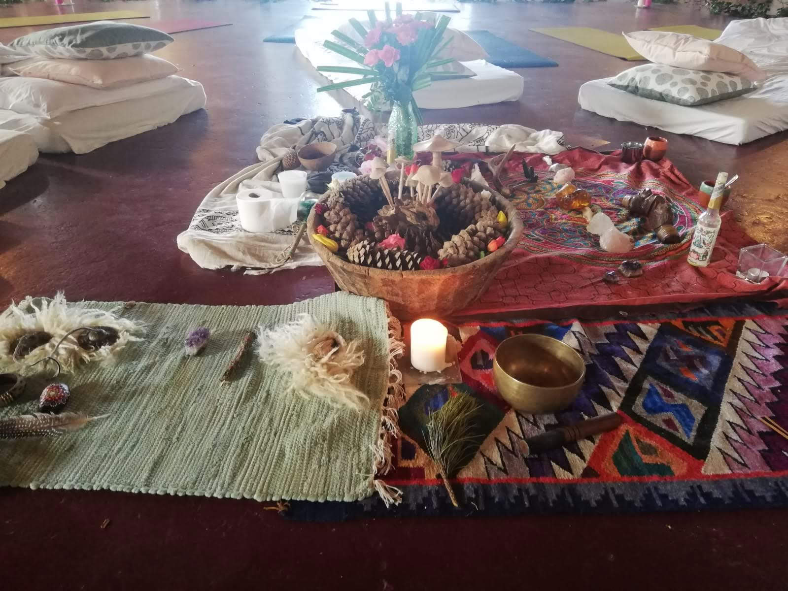 InwardBound Private Psilocybin-Retreat: 4 Tage, 2 Psilocybin-Sitzungen – Niederlande/ Costa Rica