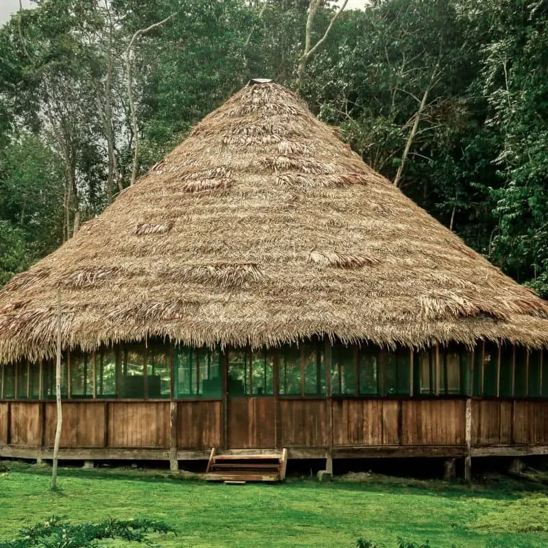 Transformation Ayahuasca-Retreat