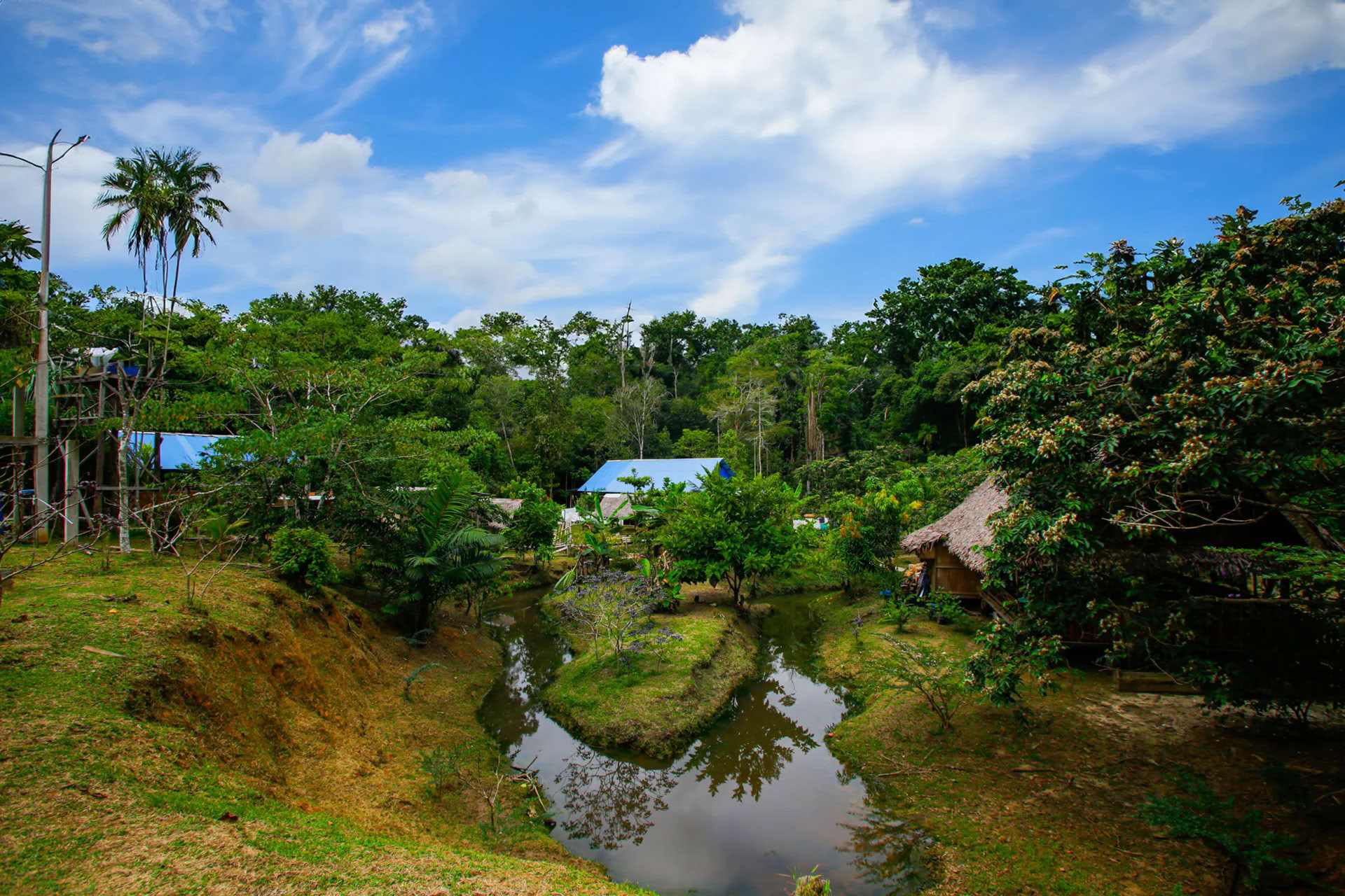 Transformation Ayahuasca-Retreat