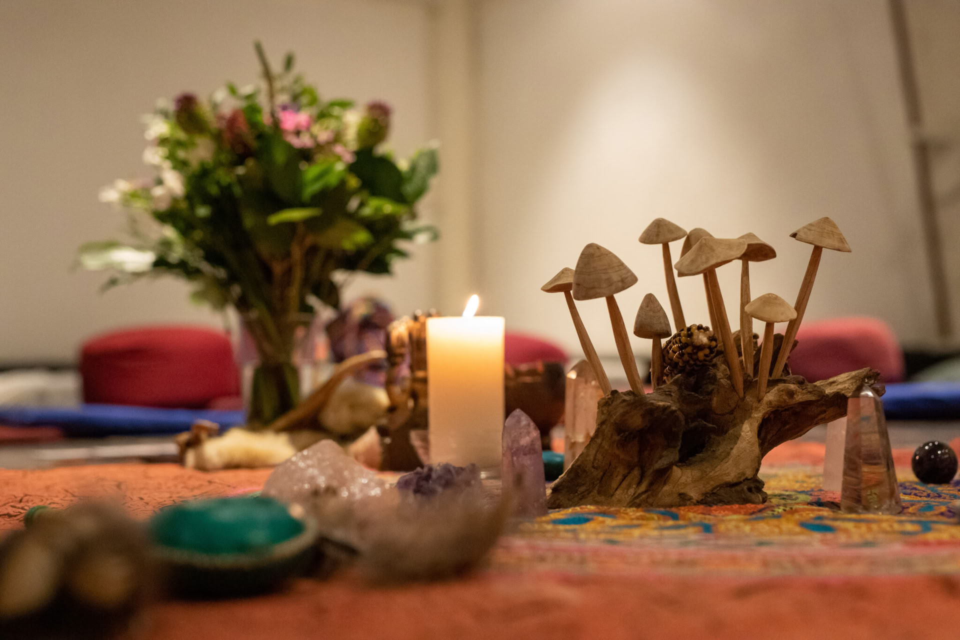 Inwardbound 3-tägiger privater Gruppen-Psilocybin-Retreat in den Niederlanden für Psychologen und Psychotherapeuten