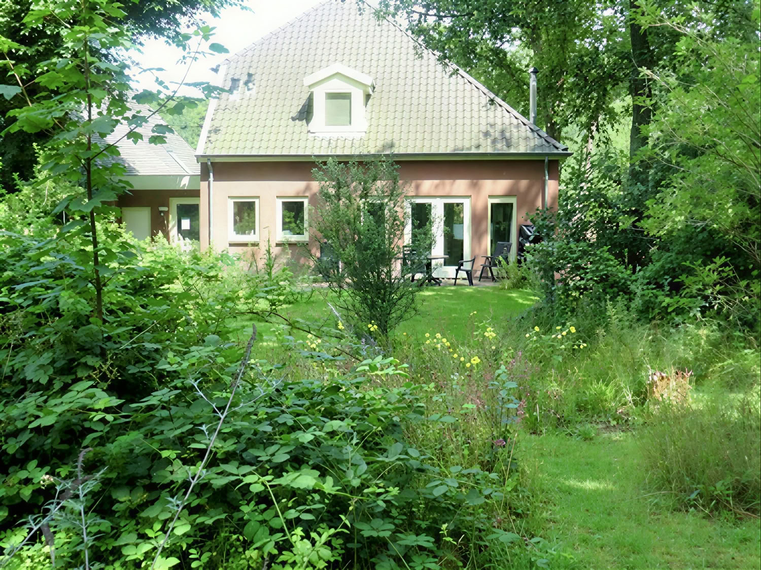 Privates Psilocybin-Retreat: 4 Tage, 2 Psilocybin-Sitzungen