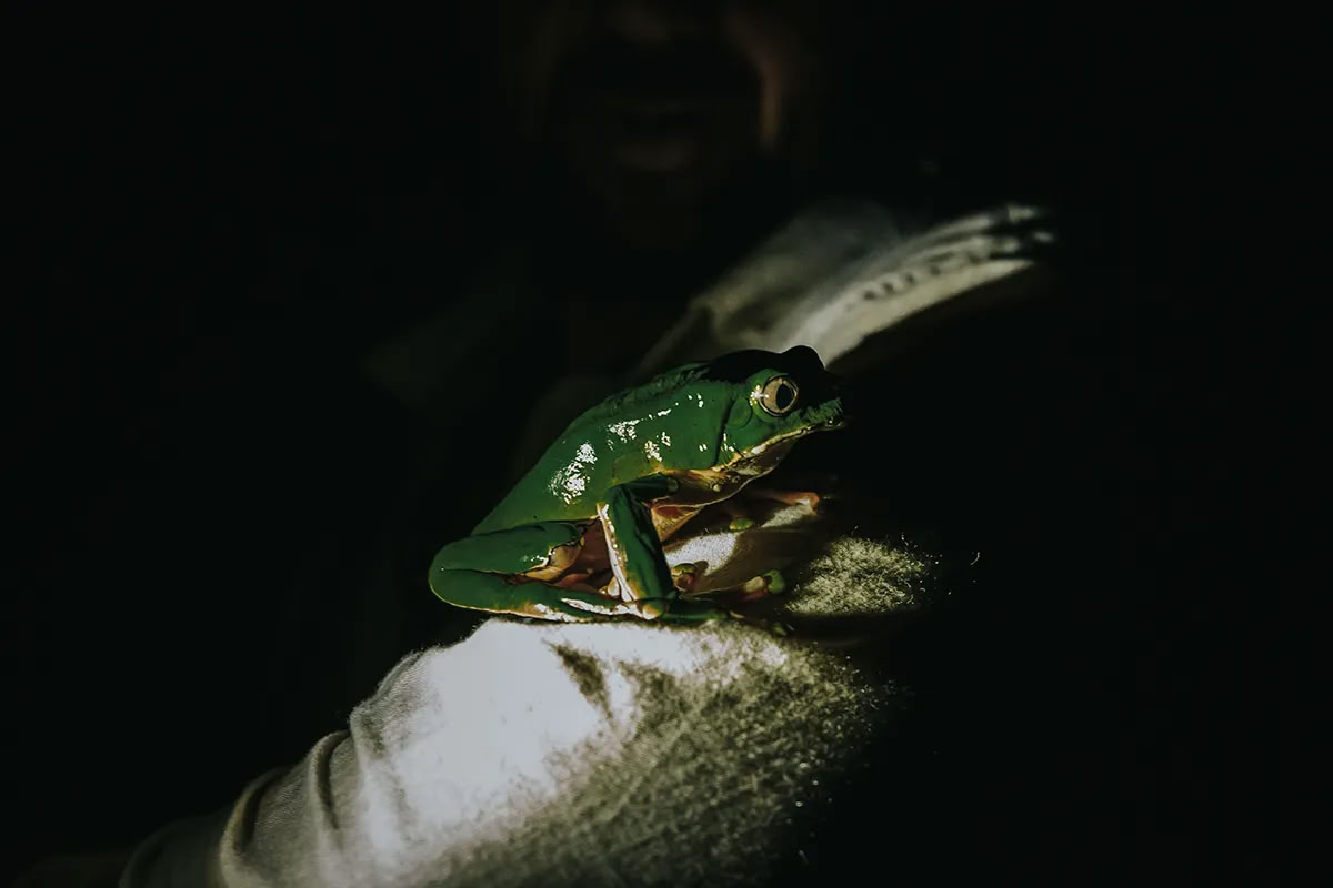 11-tägiger Ayahuasca-Retreat in Peru – 31. August - 10. September 2026 | Shipibo Healing & Integration