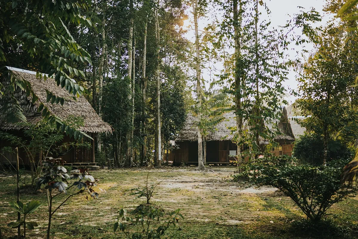 11-tägiger Ayahuasca-Retreat in Peru – 31. August - 10. September 2026 | Shipibo Healing & Integration