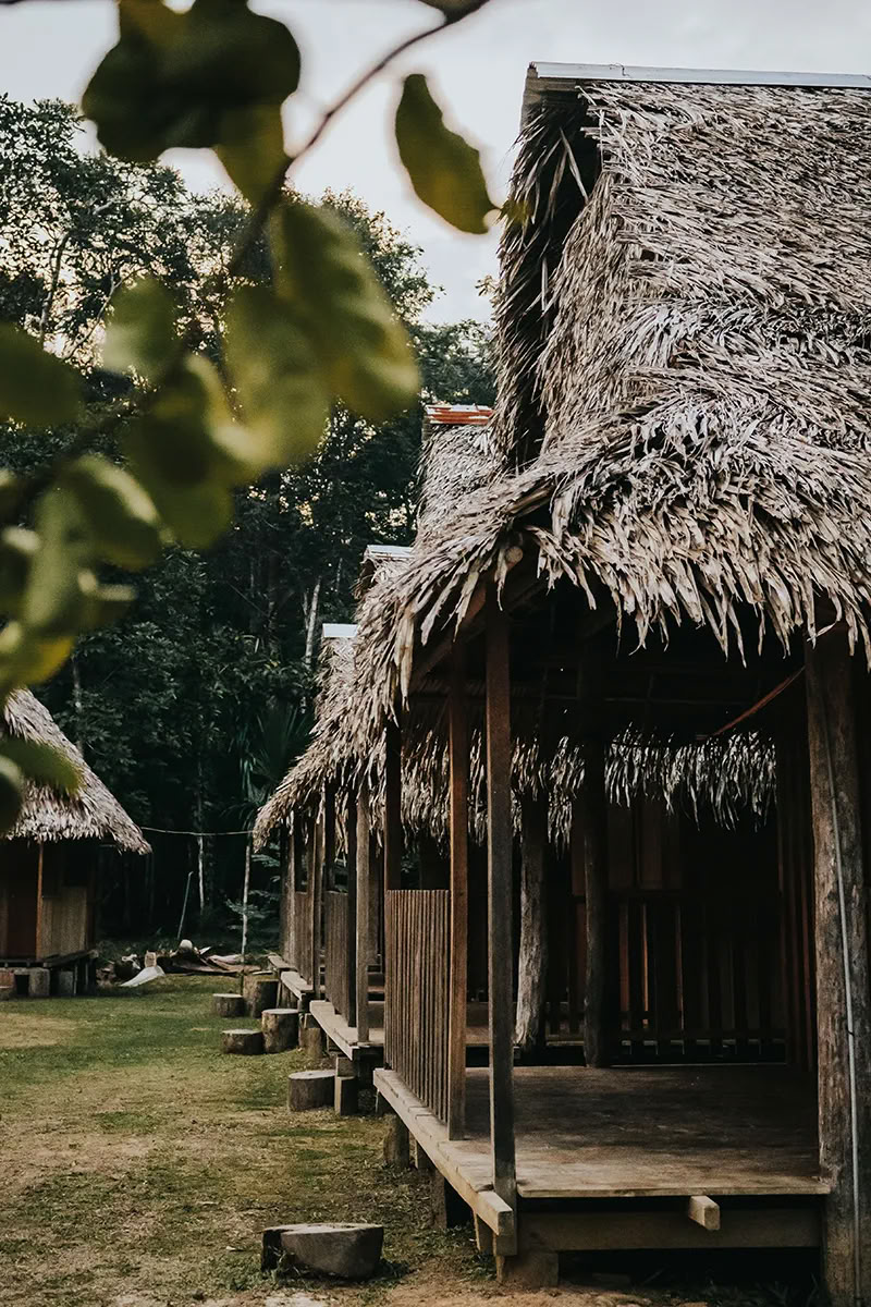 11-tägiger Ayahuasca-Retreat in Peru – 31. August - 10. September 2026 | Shipibo Healing & Integration