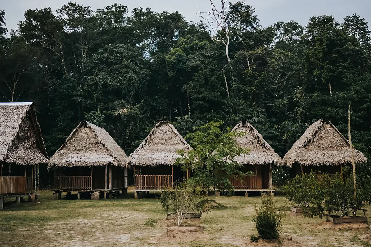 11-tägiger Ayahuasca-Retreat in Peru – 31. August - 10. September 2026 | Shipibo Healing & Integration
