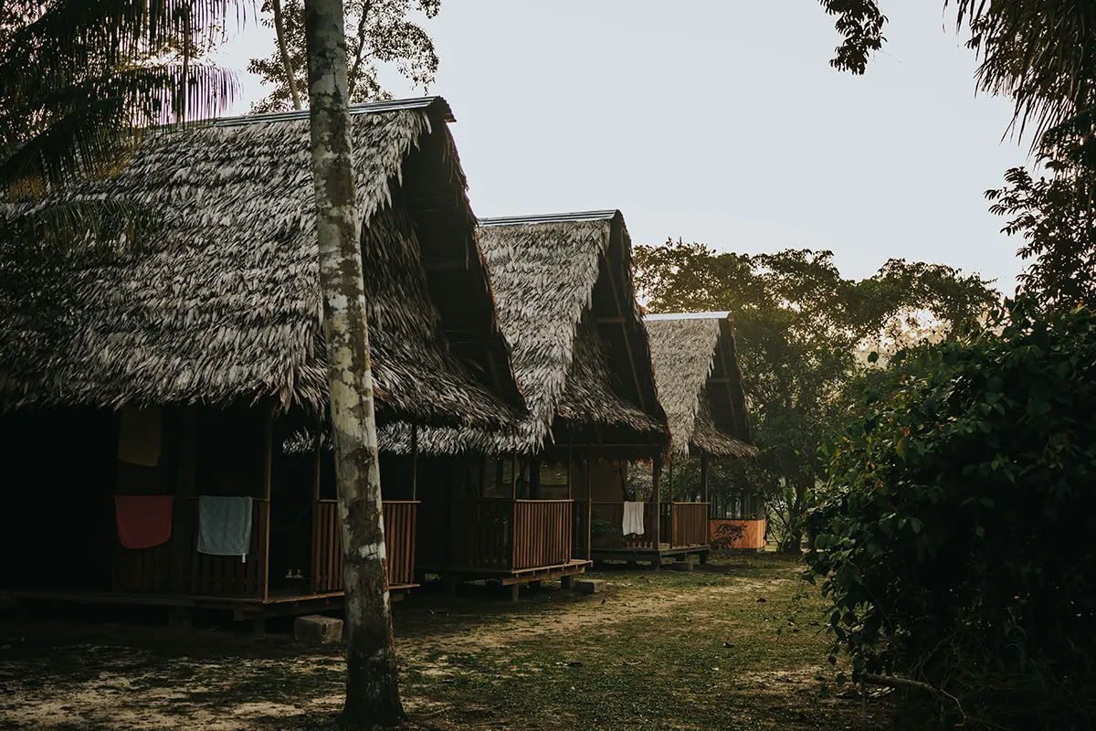 11-tägiger Ayahuasca-Retreat in Peru – 31. August - 10. September 2026 | Shipibo Healing & Integration