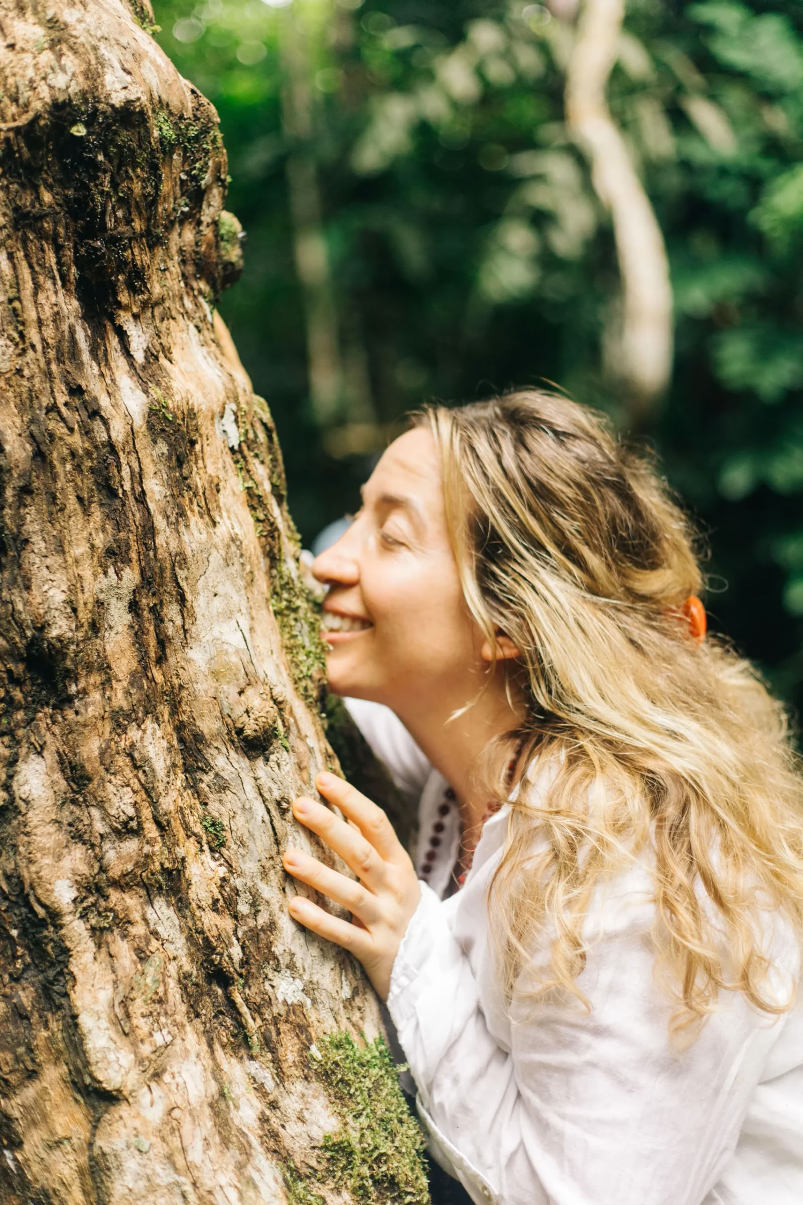 11-tägiger Ayahuasca-Retreat in Peru – 31. August - 10. September 2026 | Shipibo Healing & Integration
