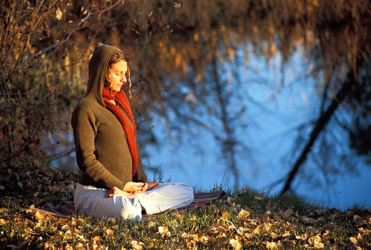 Wurzeln der Resilienz: Yoga & die Arbeit, die wiederverbindet