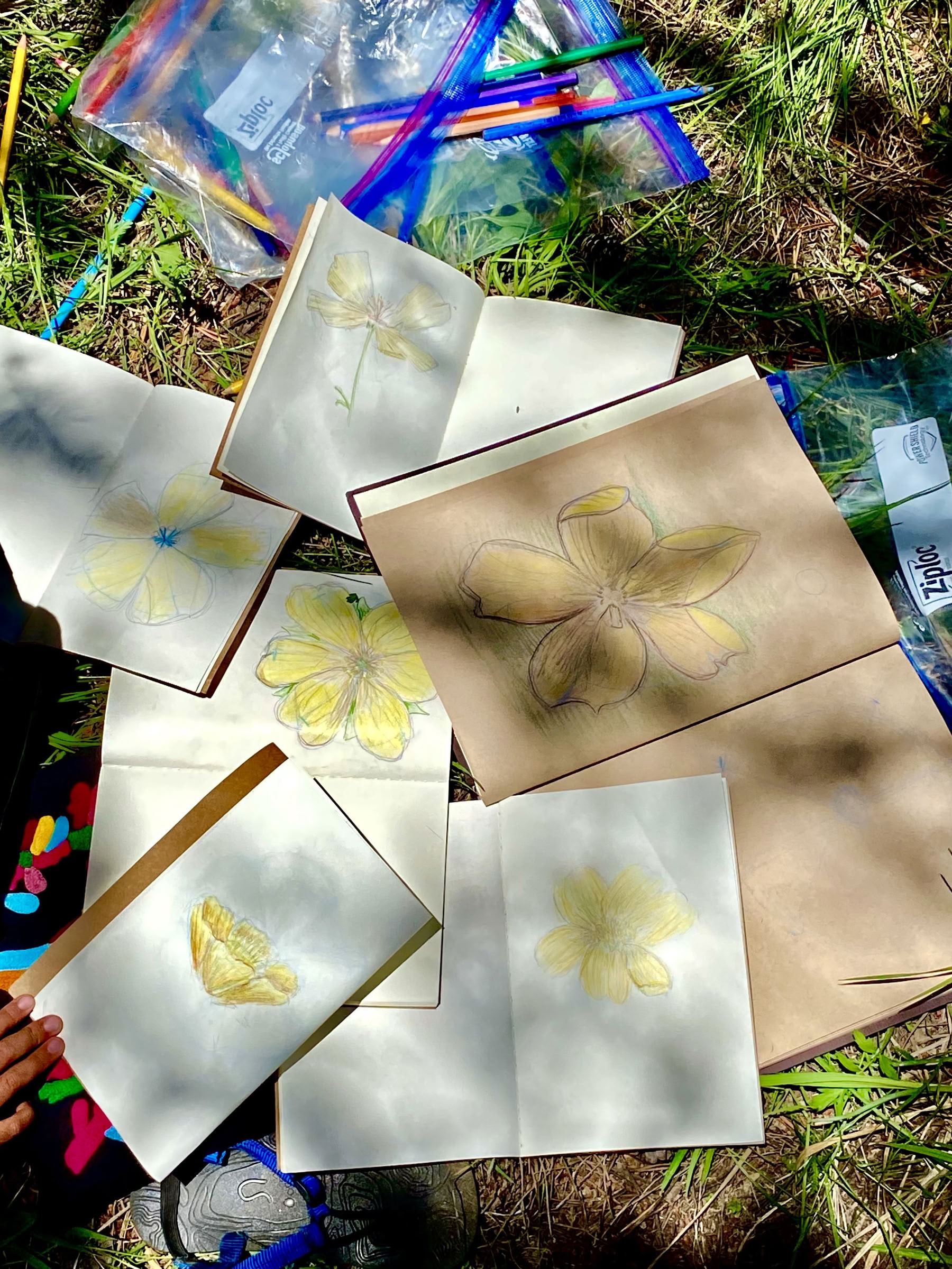 Jugendliche engagiert in transformativer Erkundung: 6-tägiges Wildnis-Camp-Out