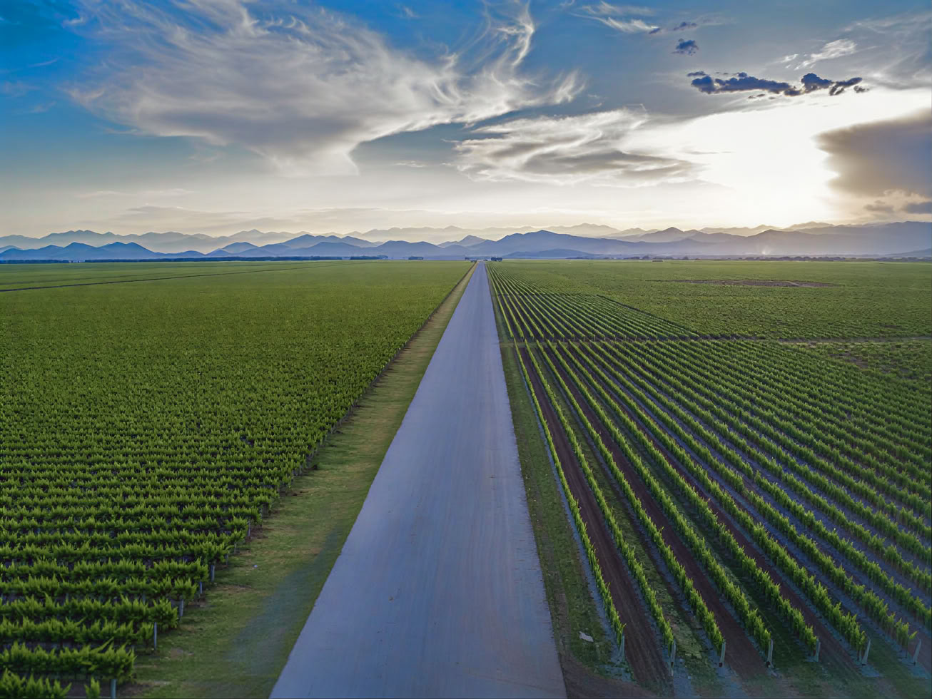 Traditionelle und moderne gemischte Weintour