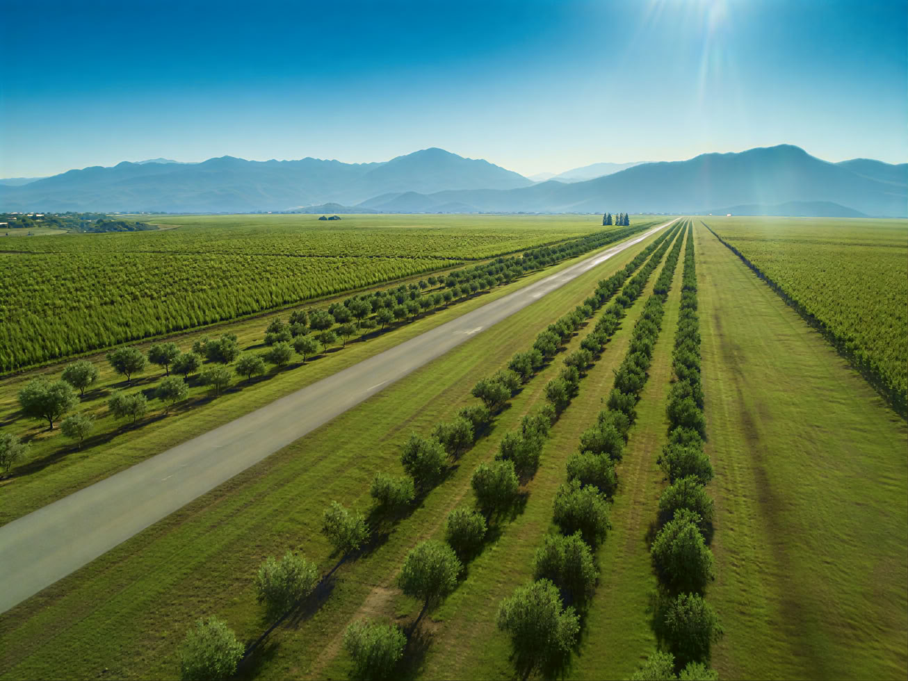 Traditionelle und moderne gemischte Weintour