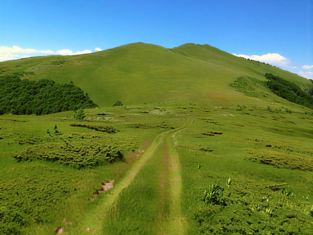 Bjelasica Wanderung