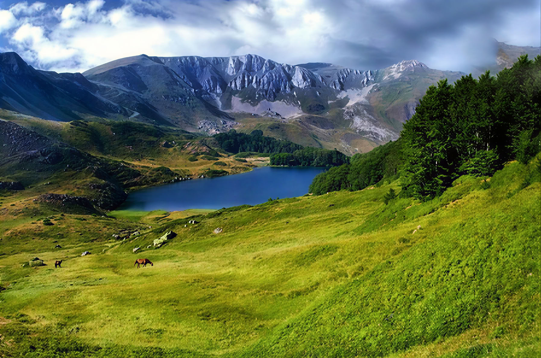 Bjelasica Wanderung