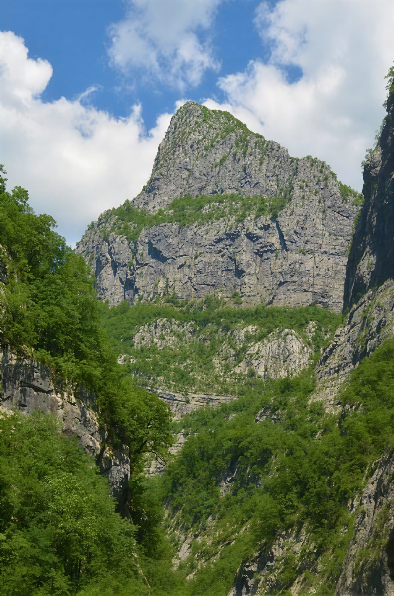 Mrtvica-Schlucht Wanderung Private Tour