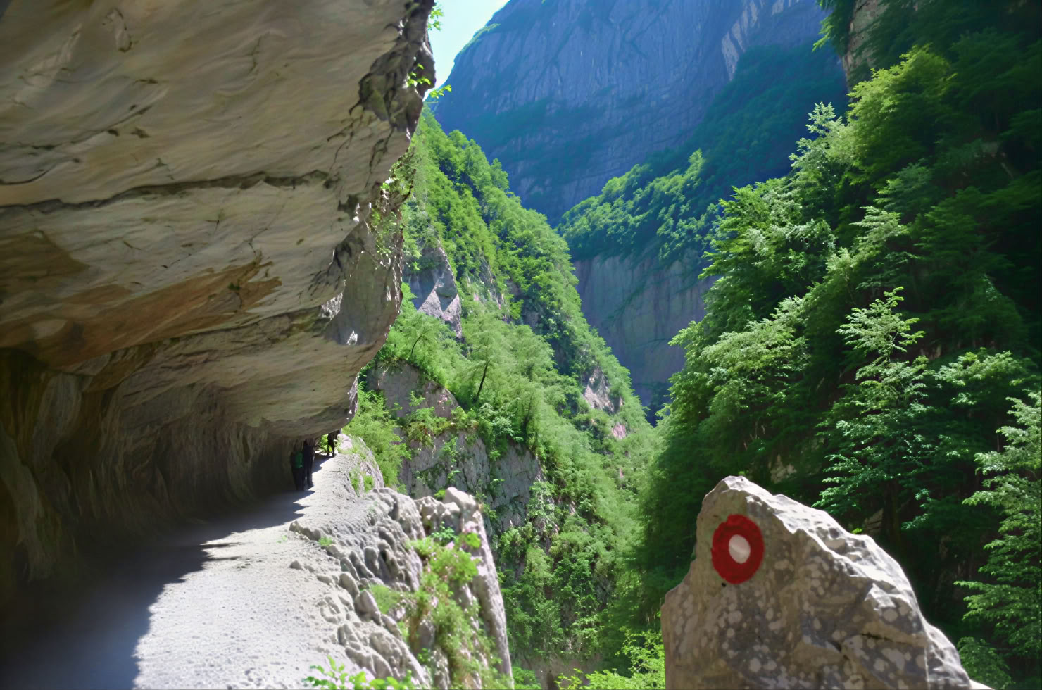 Mrtvica-Schlucht Wanderung Private Tour