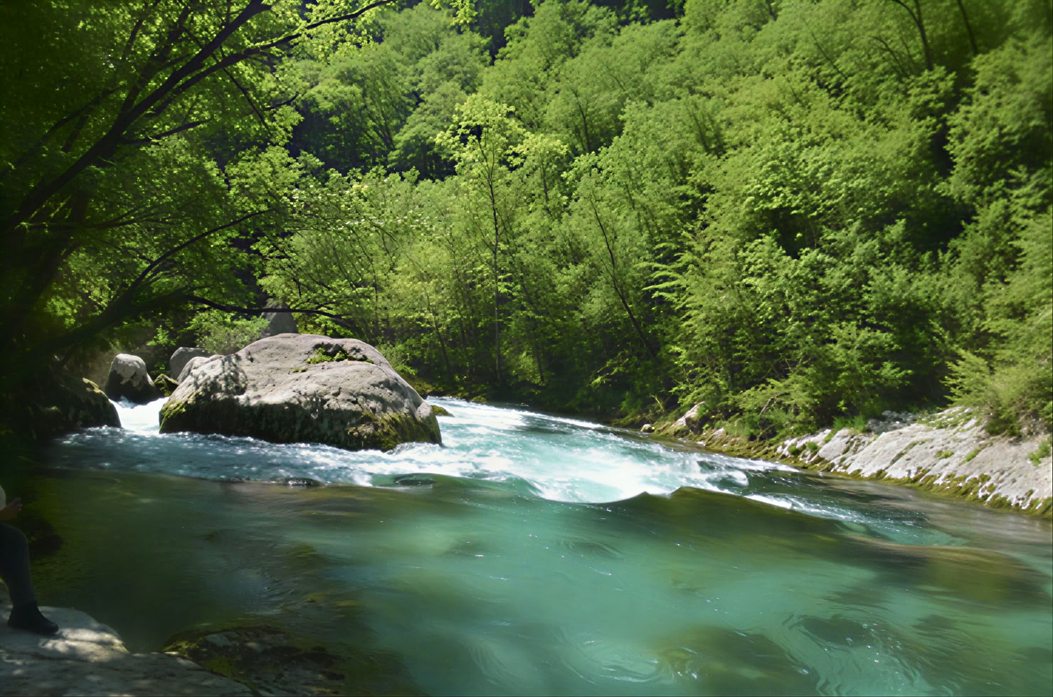 Mrtvica-Schlucht Wanderung Private Tour