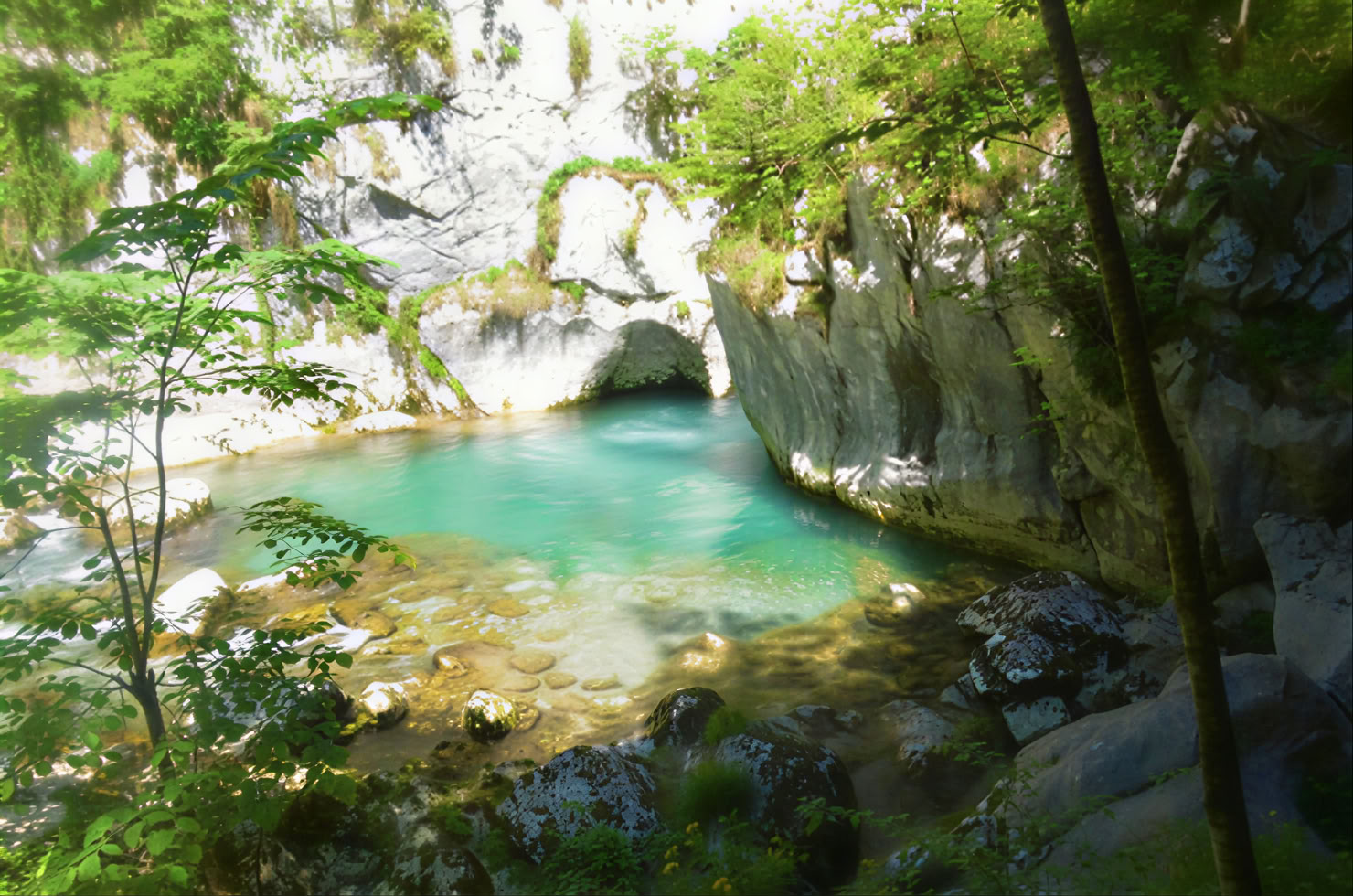 Mrtvica-Schlucht Wanderung Private Tour