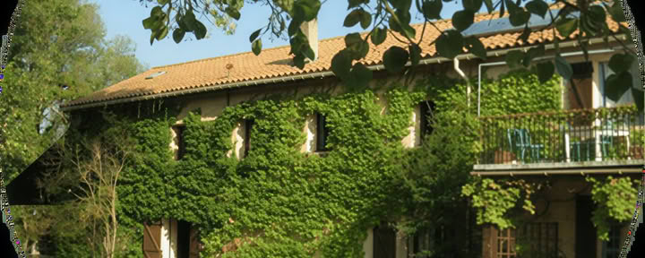 Workshops im Süden Frankreichs