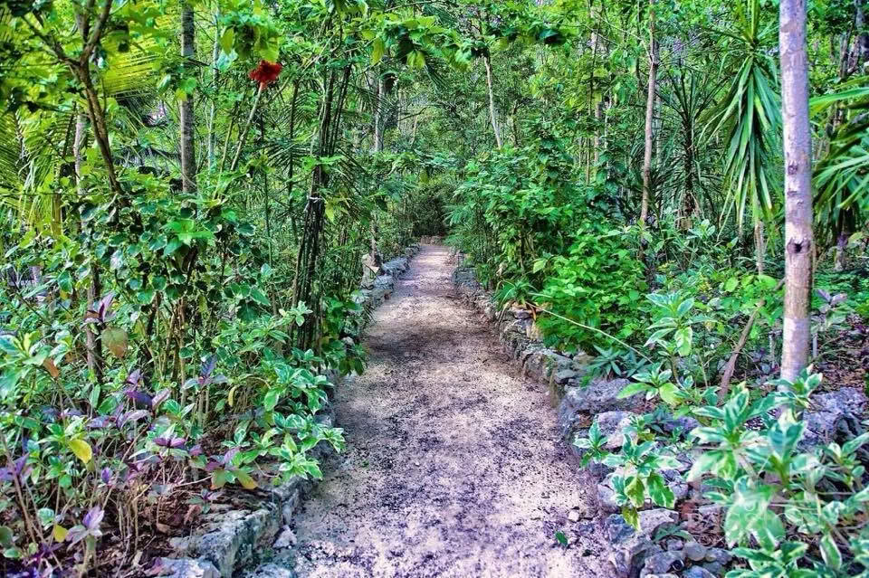 Ayahuasca-Retreat, Mexiko