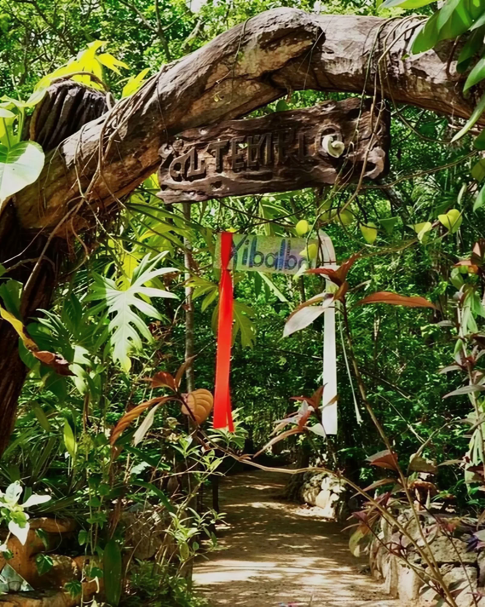 Ayahuasca-Retreat, Mexiko