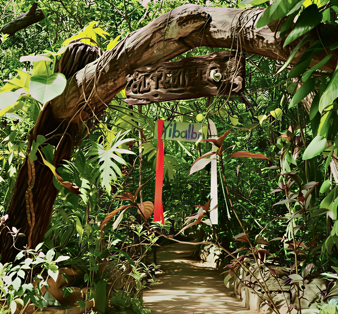 Ayahuasca-Retreat, Mexiko