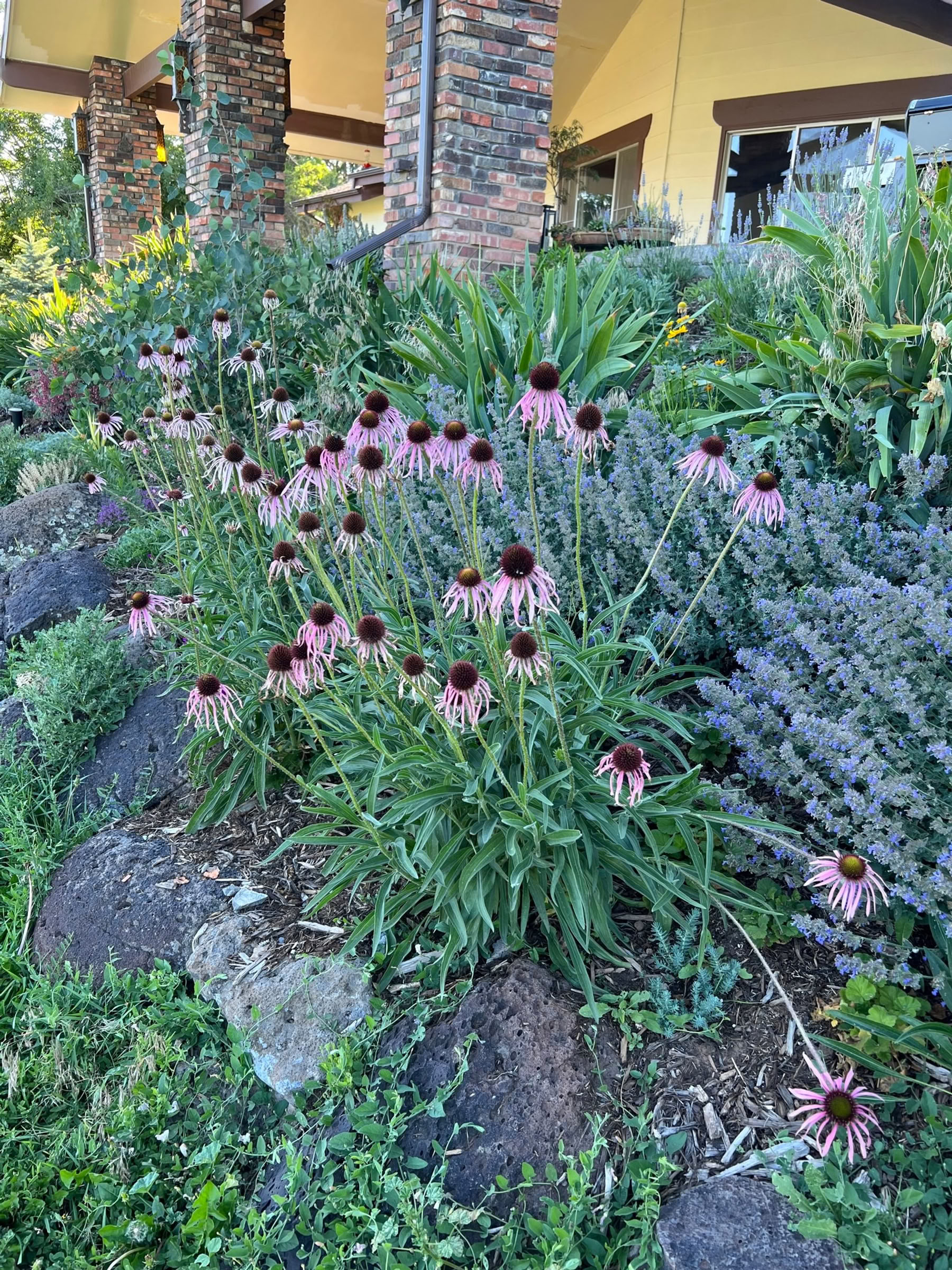 Colorado-Atemarbeit-Retreat