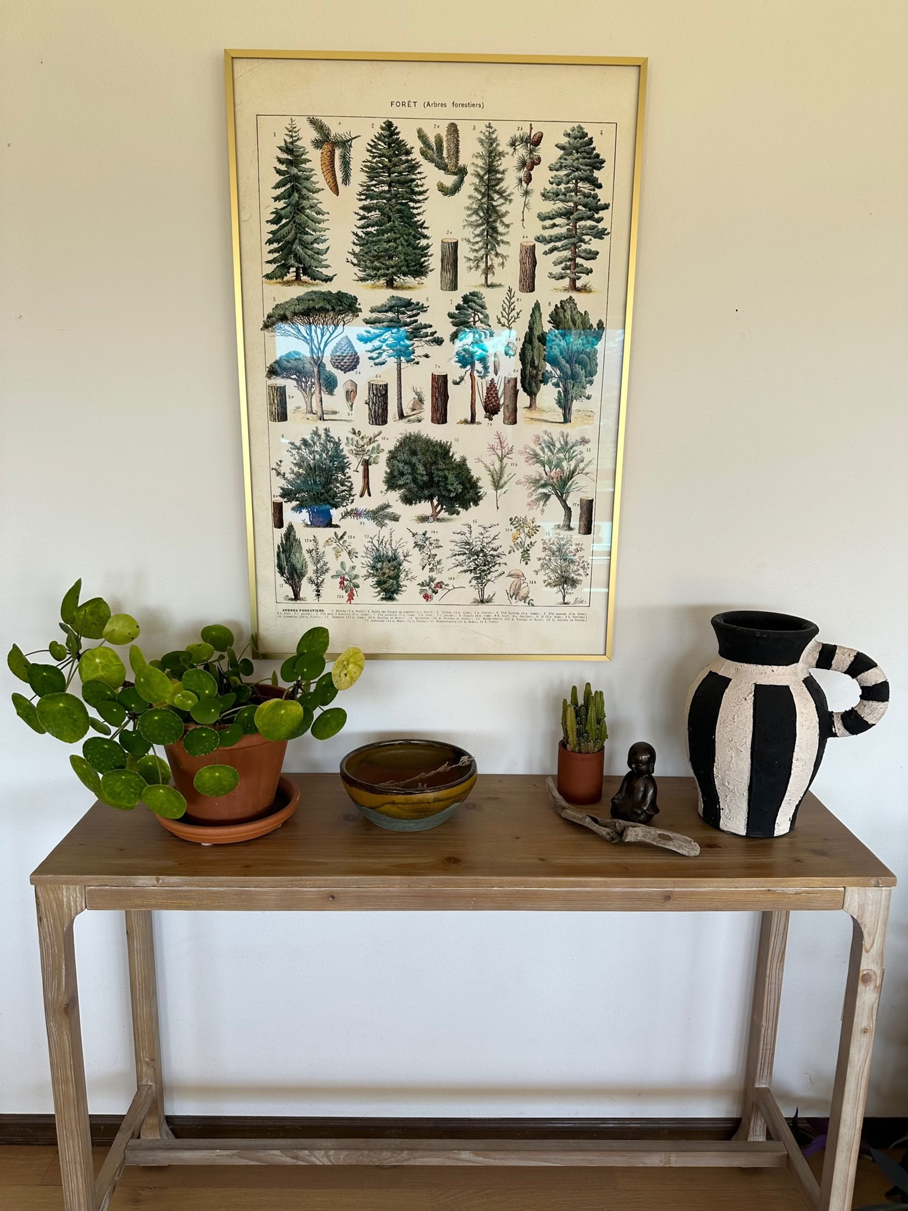 Colorado-Atemarbeit-Retreat