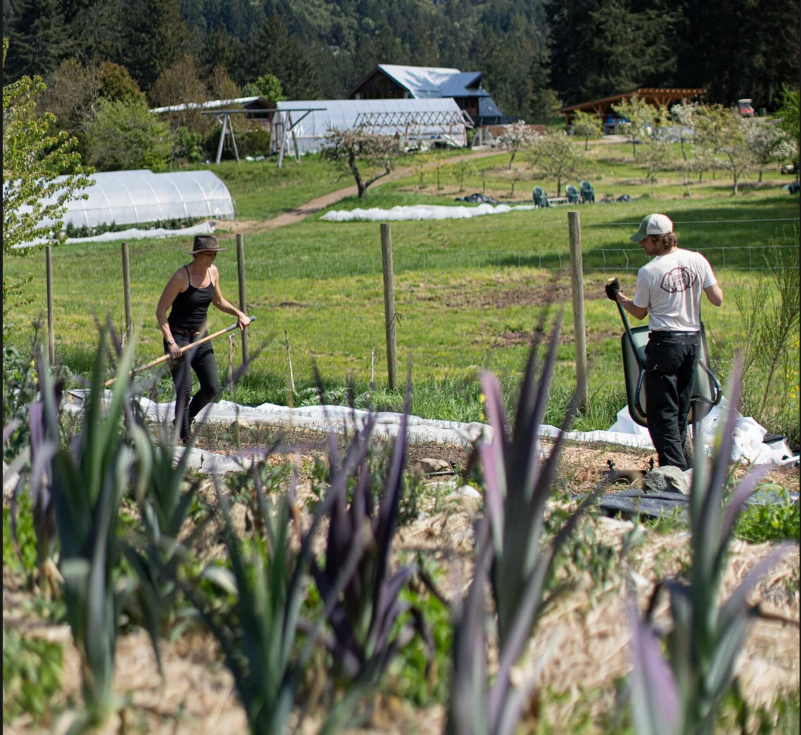 Vorbereitung des Gartens für die nächste Saison — Stowel Lake Farm