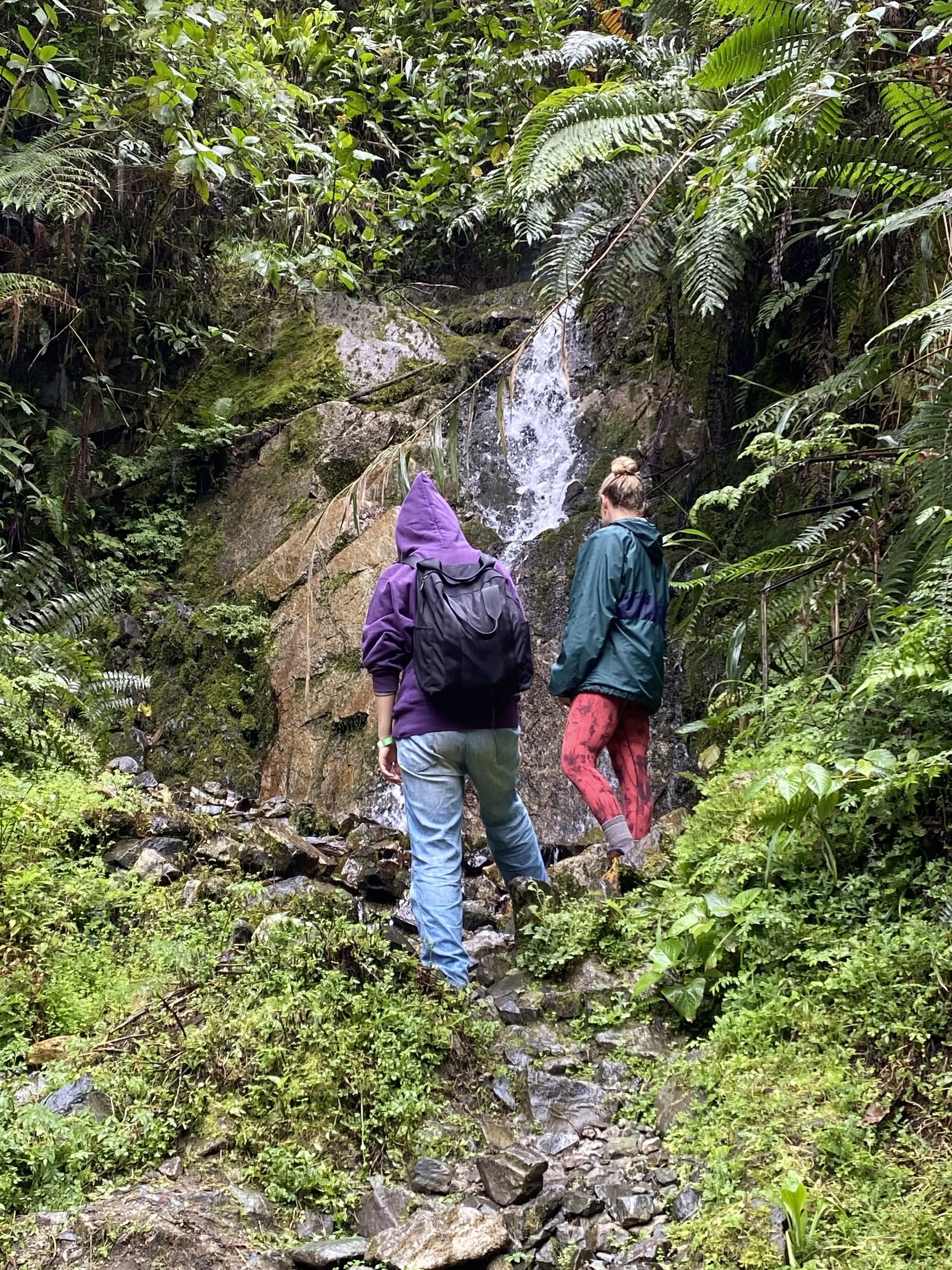 Frauen-Ayahuasca-Retreat
