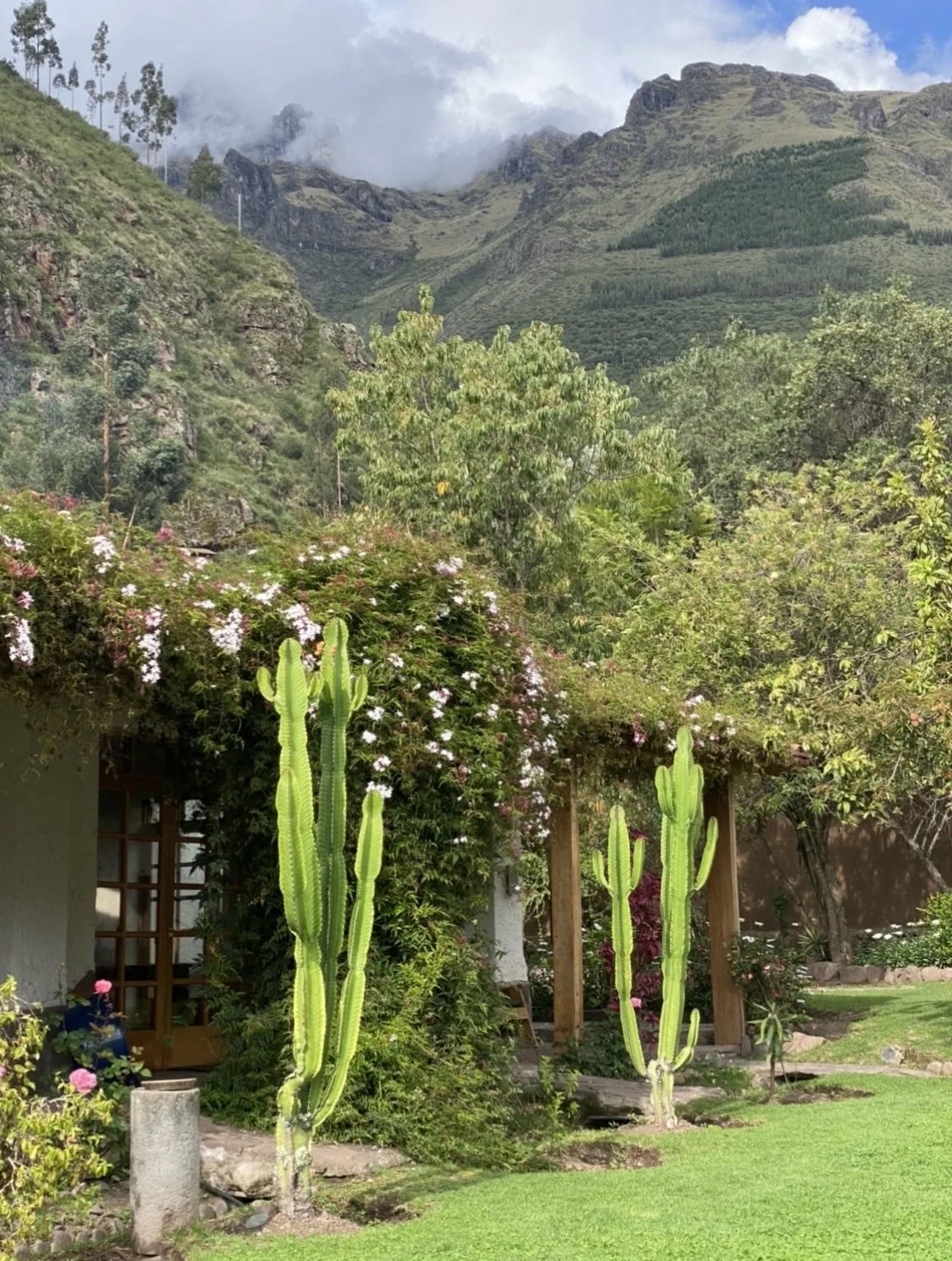 Frauen-Ayahuasca-Retreat