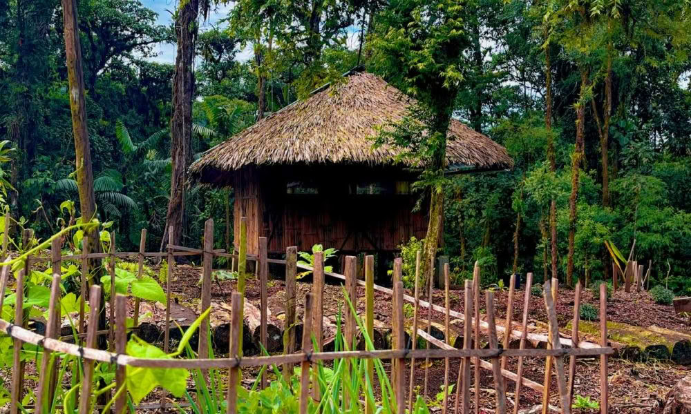 Ayahuasca Einführungsretreat: 7- und 14-tägig – 10. bis 31. Januar 2027