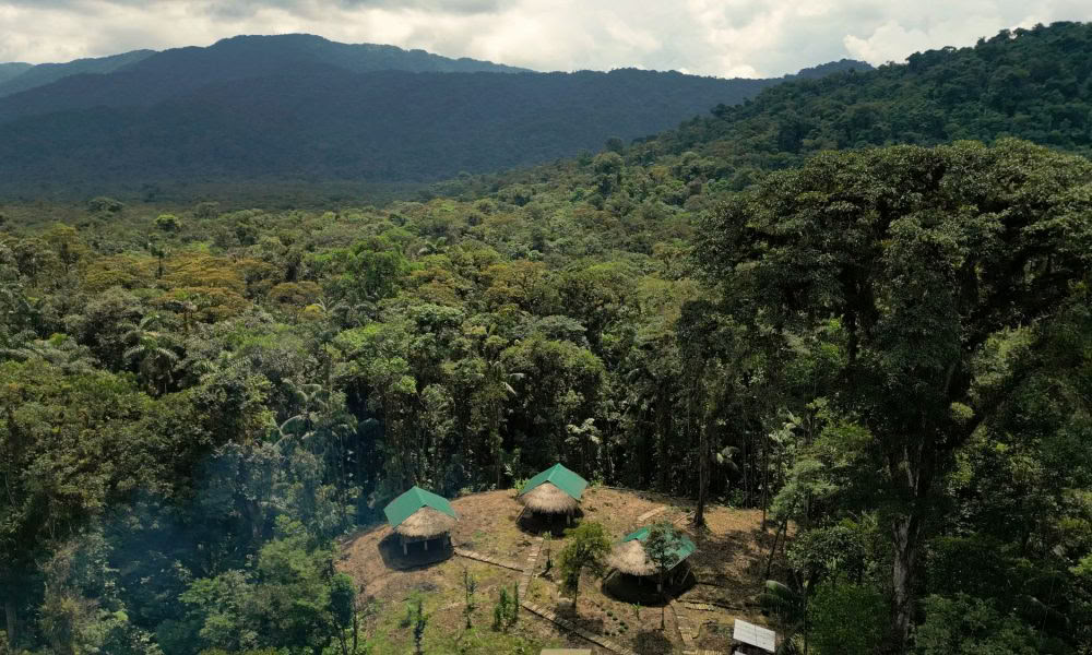 Ayahuasca-Einführungsretreat: 7- und 14-tägig – 3.-24. Februar 2027