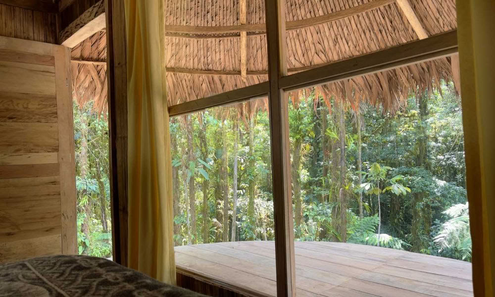 Ayahuasca-Einführungsretreat: 7- und 14-tägig – 3.-24. Februar 2027