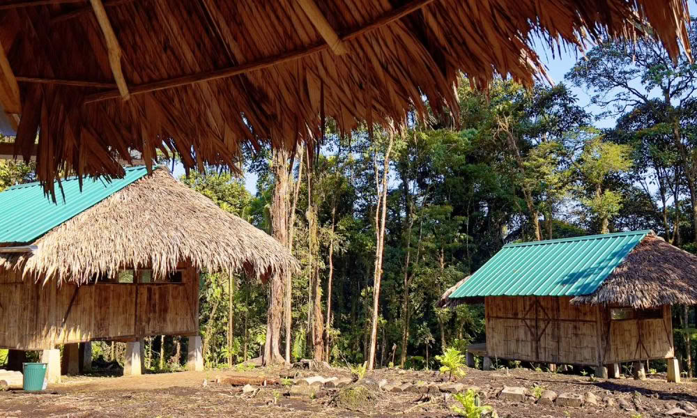 Ayahuasca-Einführungsretreat: 7- und 14-tägig – 3.-24. Februar 2027