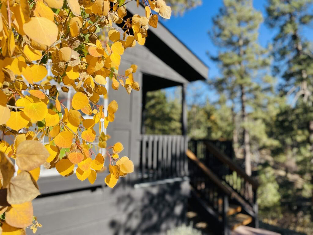 Cultivating Kindness Herbst-Retreat: Eine Reise für Frauen durch Achtsamkeit, Selbstmitgefühl, Schreiben & Bewegung