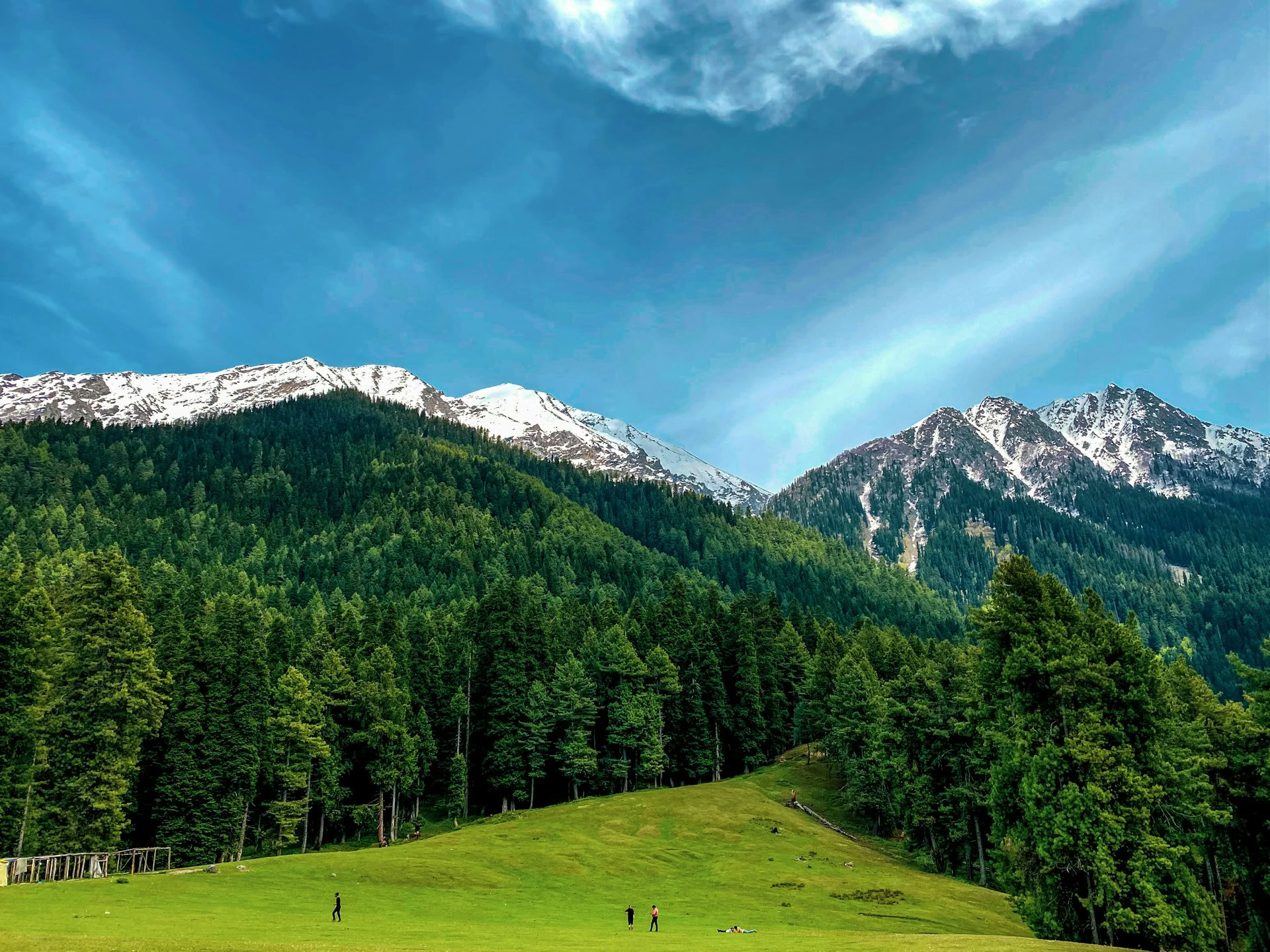 Meadows of Gold: Srinagar nach Sonmarg Alpine Escape
