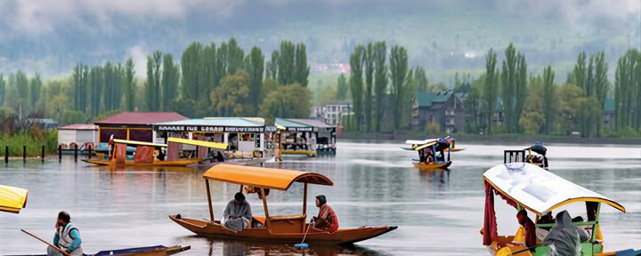 Meadows of Gold: Srinagar nach Sonmarg Alpine Escape