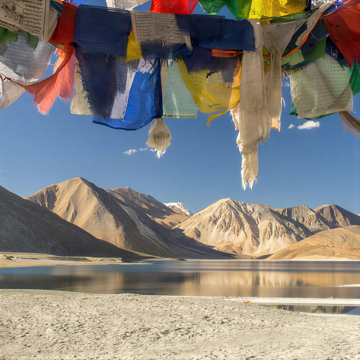 Von Paradise zum Plateau: Kashmir-zu-Ladakh-Straßenreise