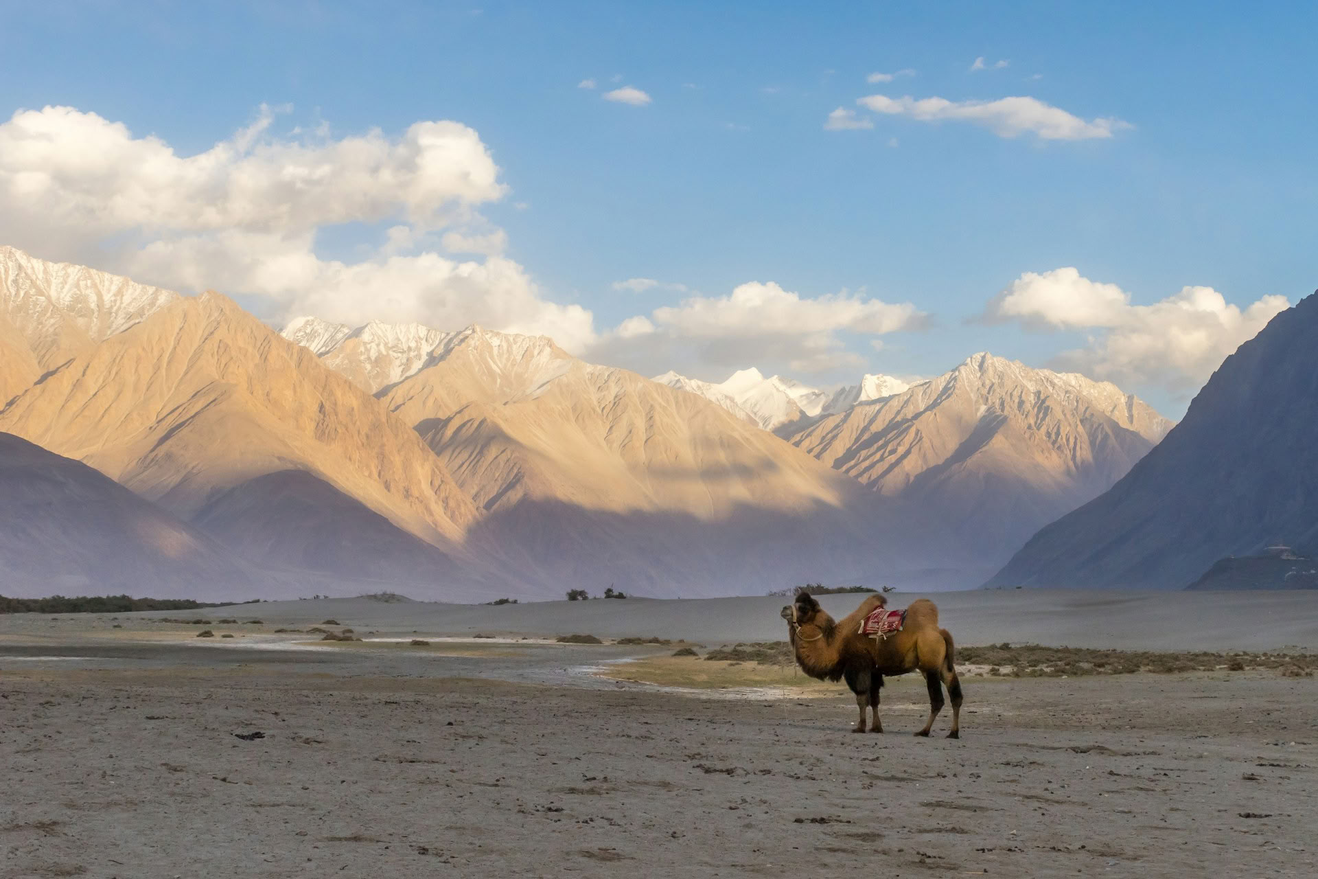 Von Paradise zum Plateau: Kashmir-zu-Ladakh-Straßenreise