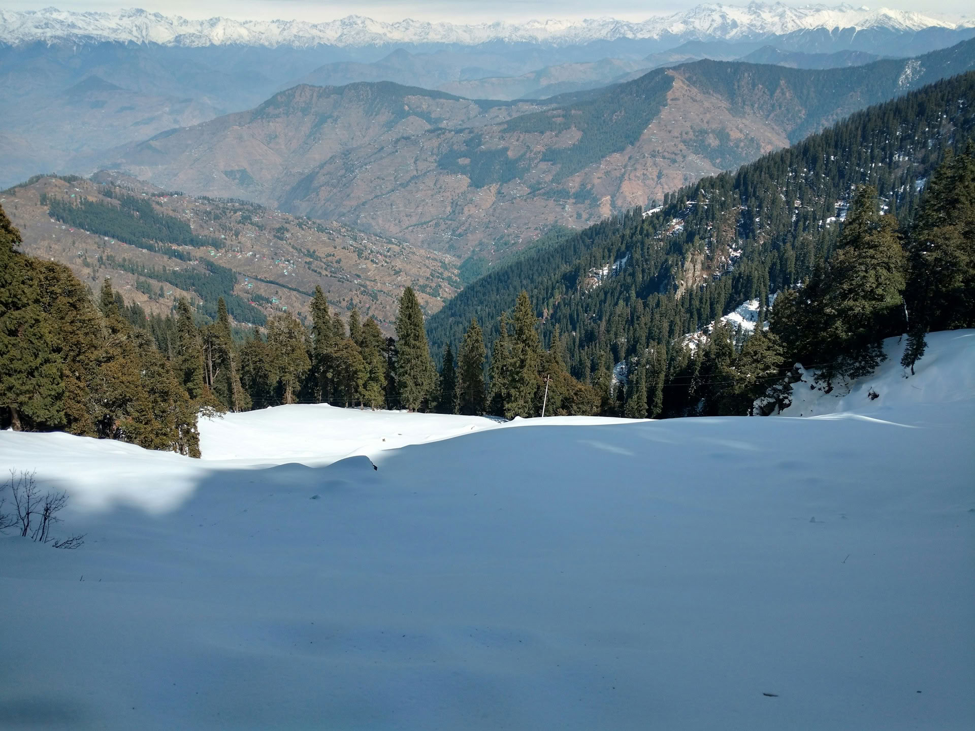 Obstgärten zu Waldpfaden: Thanedar, Sojha & Tirthan Langsamer Himalaya-Urlaub