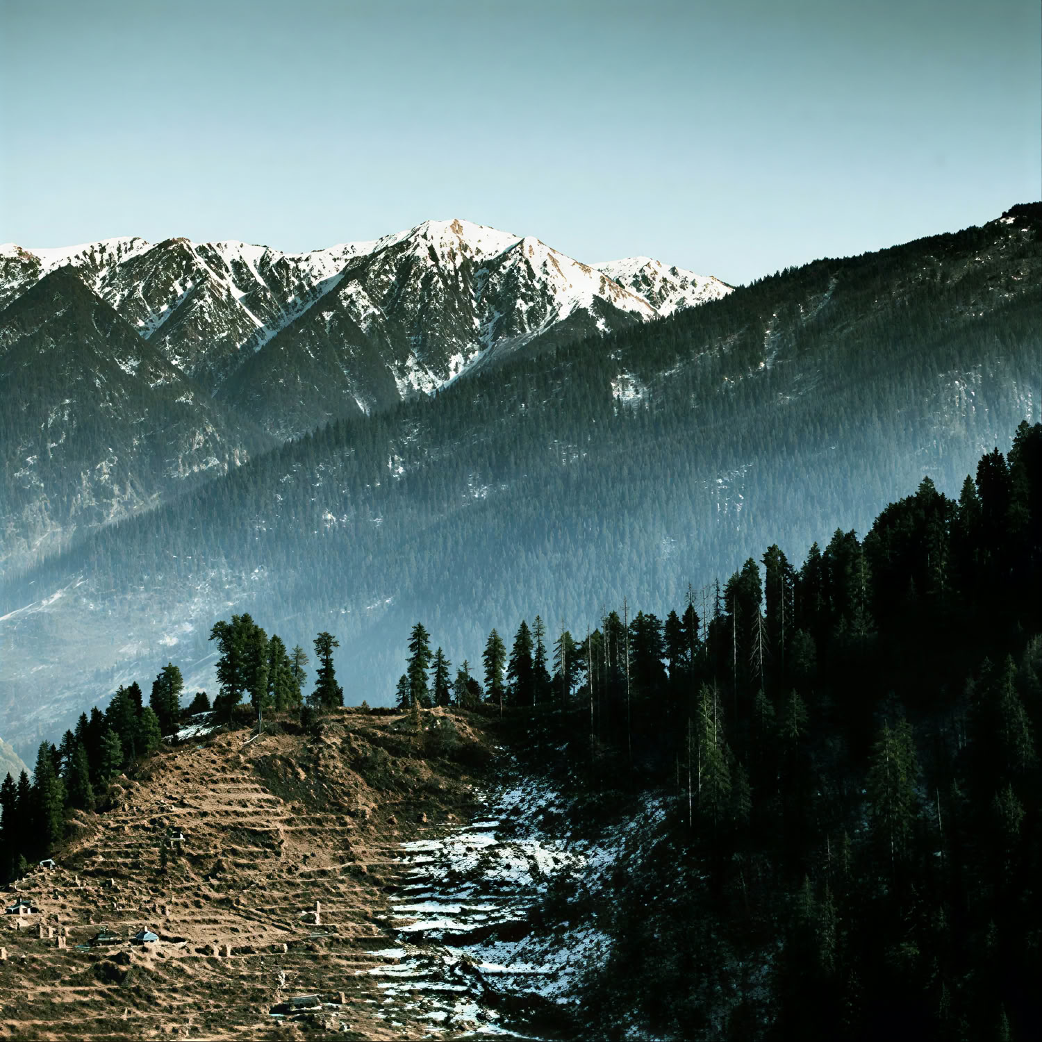 Obstgärten zu Waldpfaden: Thanedar, Sojha & Tirthan Langsamer Himalaya-Urlaub