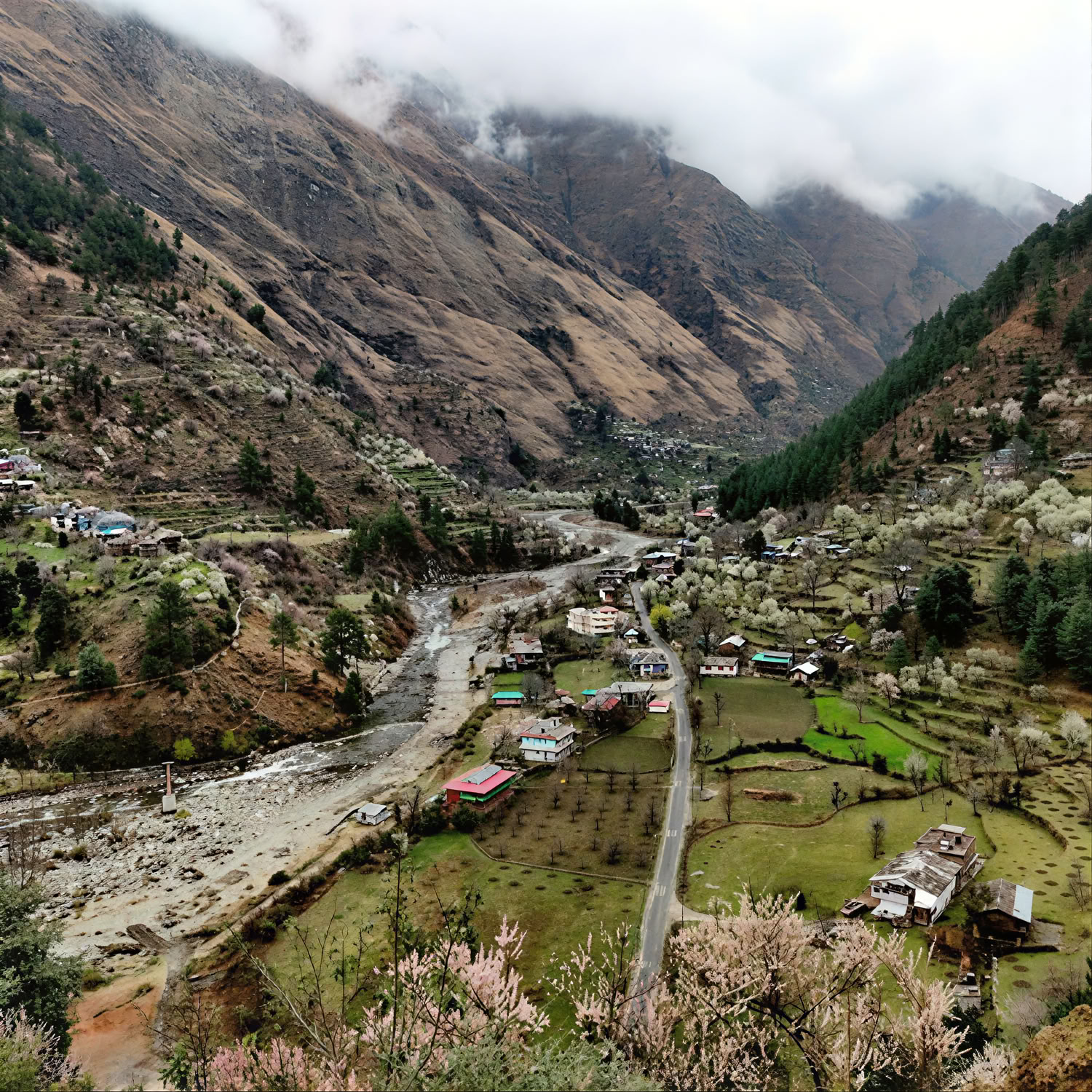 Waldpfade zu Versteckten Weilern: Sojha, Tirthan & Sonaugi Himalayan Retreat