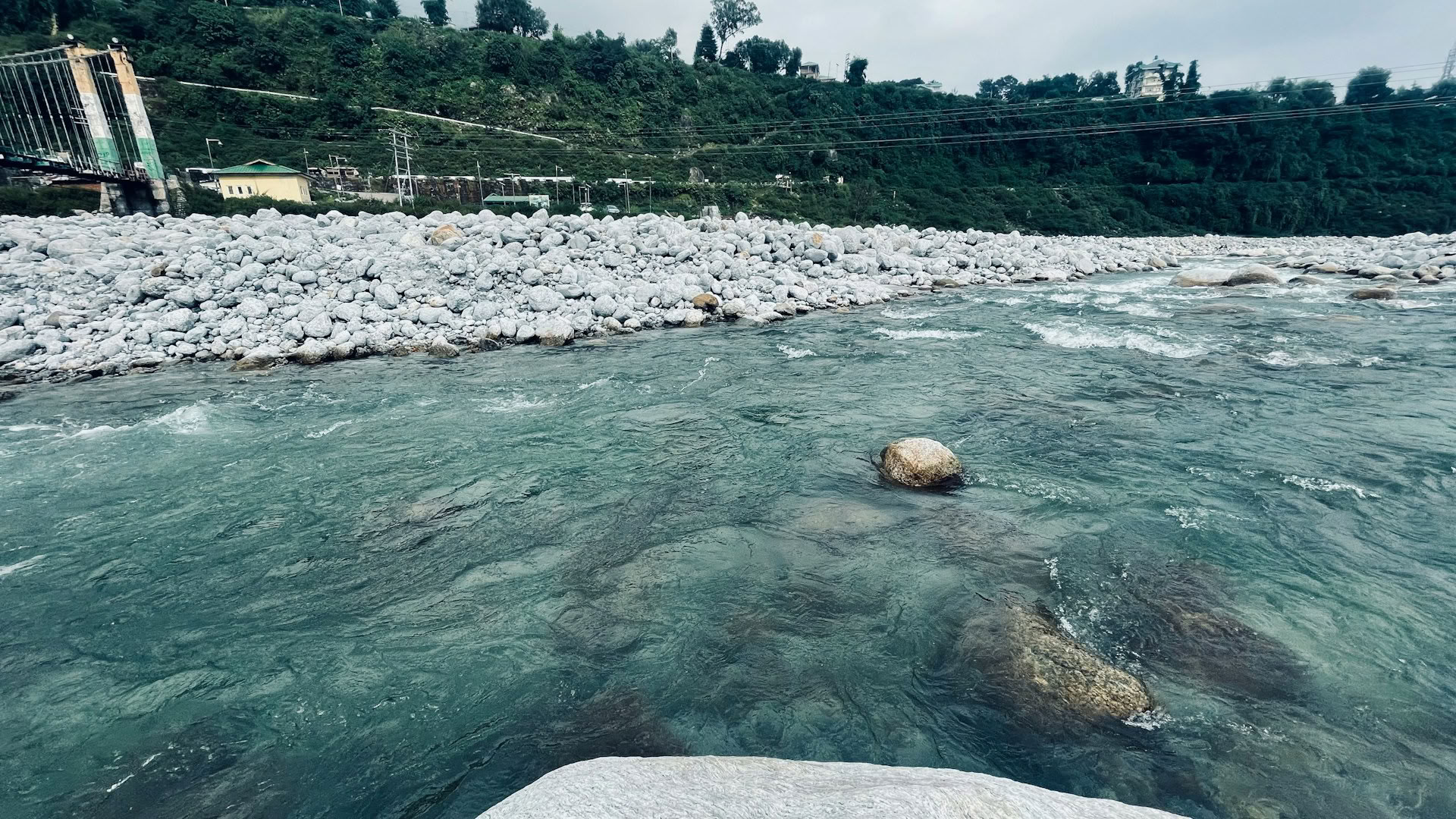 Klöster, Teewege & Himmelsblicke: Dharamshala, Palampur & Bir-Ausflug