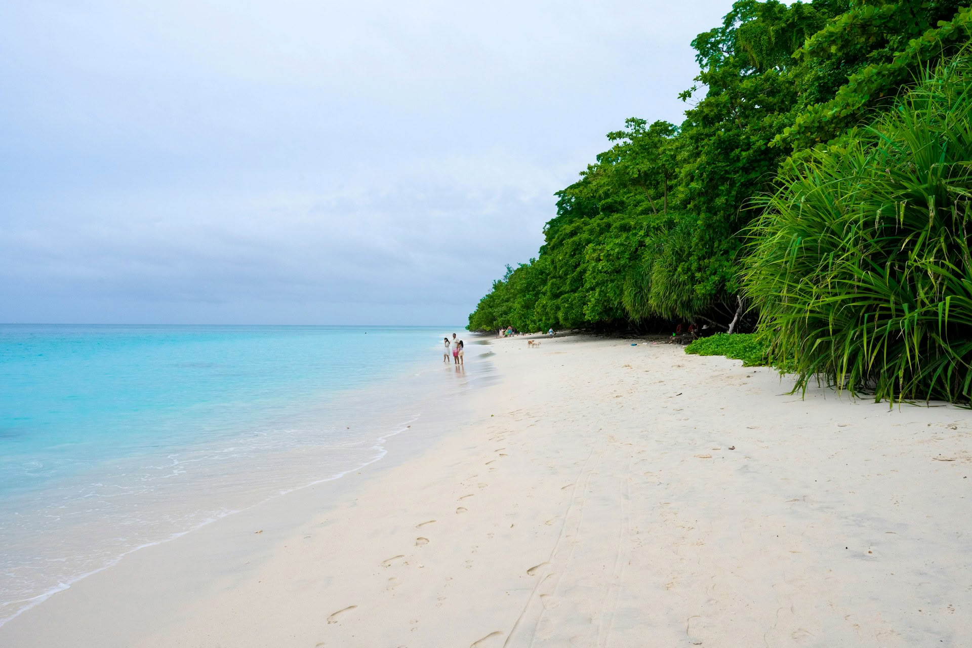 Azure Andaman Escape: Port Blair & Havelock Retreat