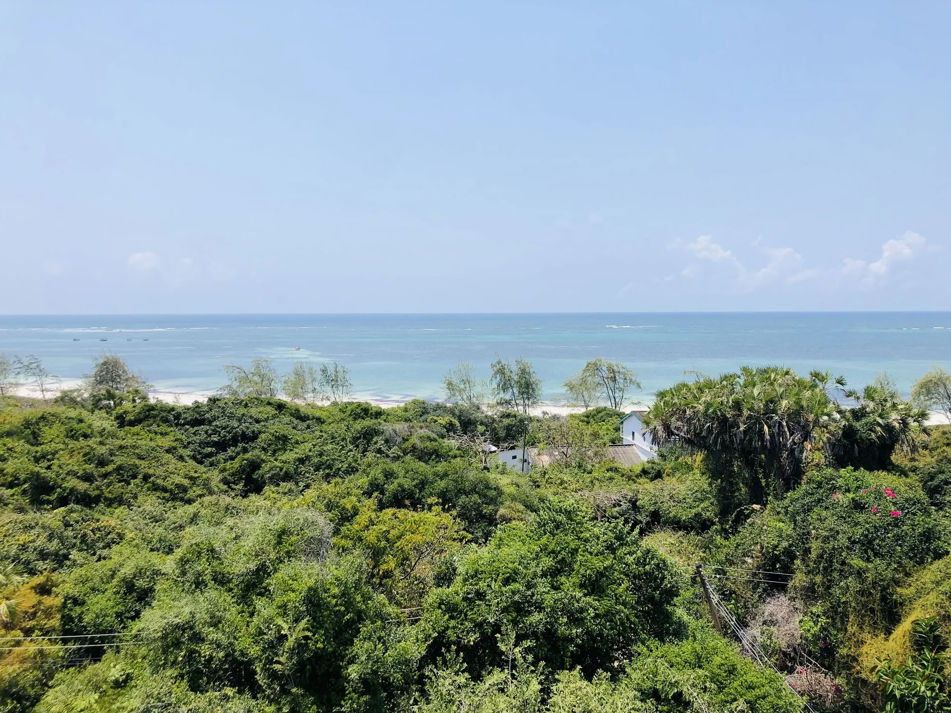 Into the Wild Yoga-Retreat — Lotus Love Yoga