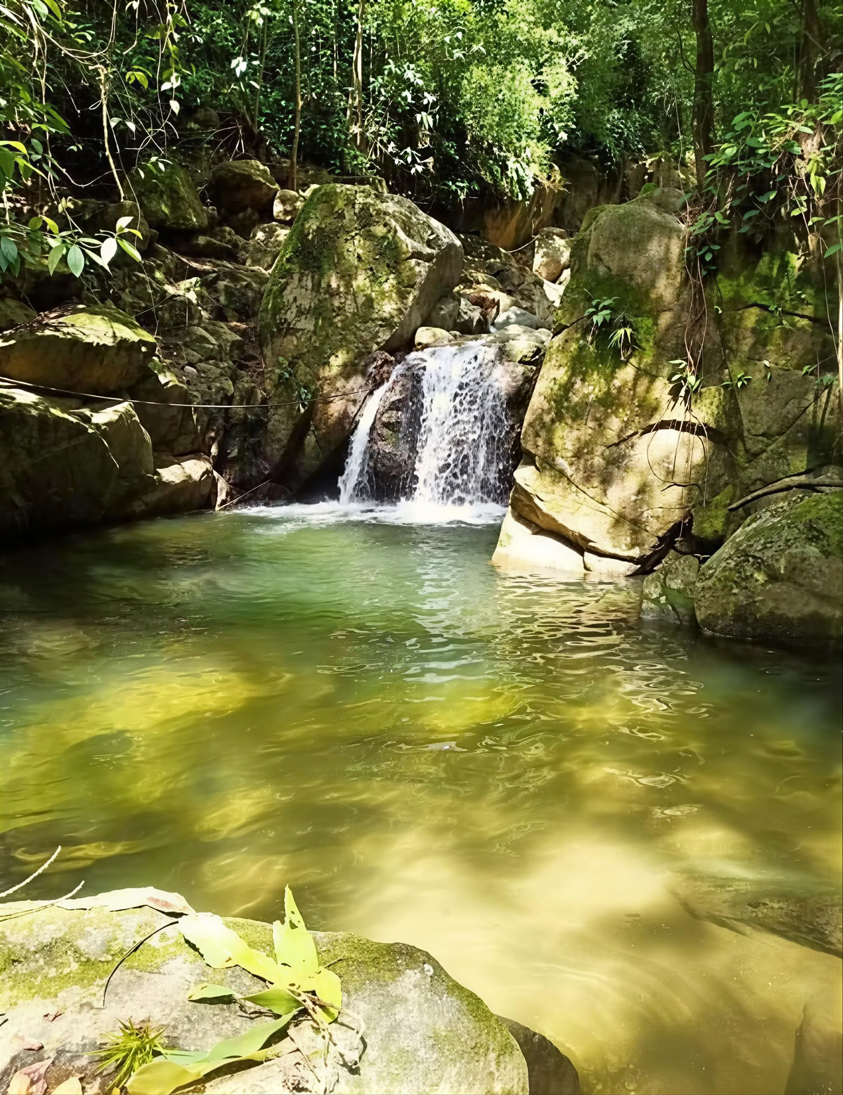 Heiliges Ayahuasca-Retreat in Santa Marta, Kolumbien