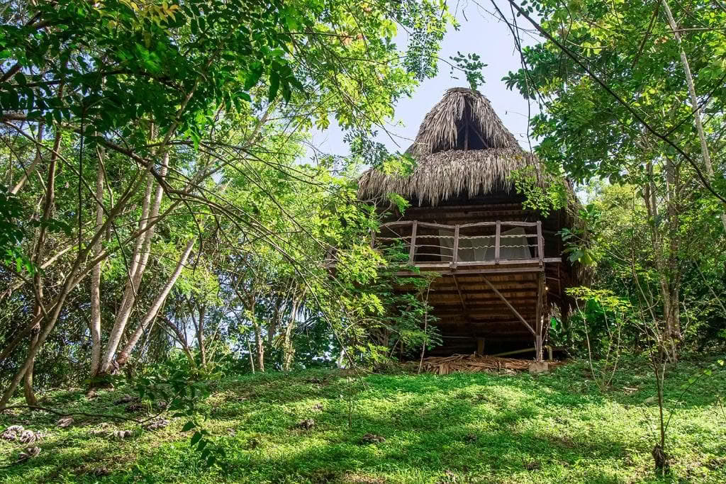 Heiliges Ayahuasca-Retreat in Santa Marta, Kolumbien