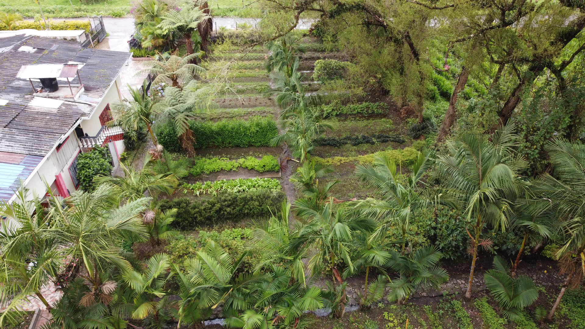 Heiliges Ayahuasca-Retreat in Santa Marta, Kolumbien